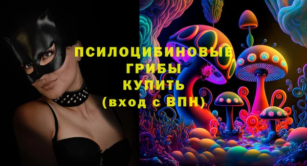 дмт Слюдянка