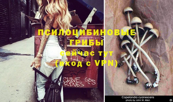 ALPHA PVP Бугульма